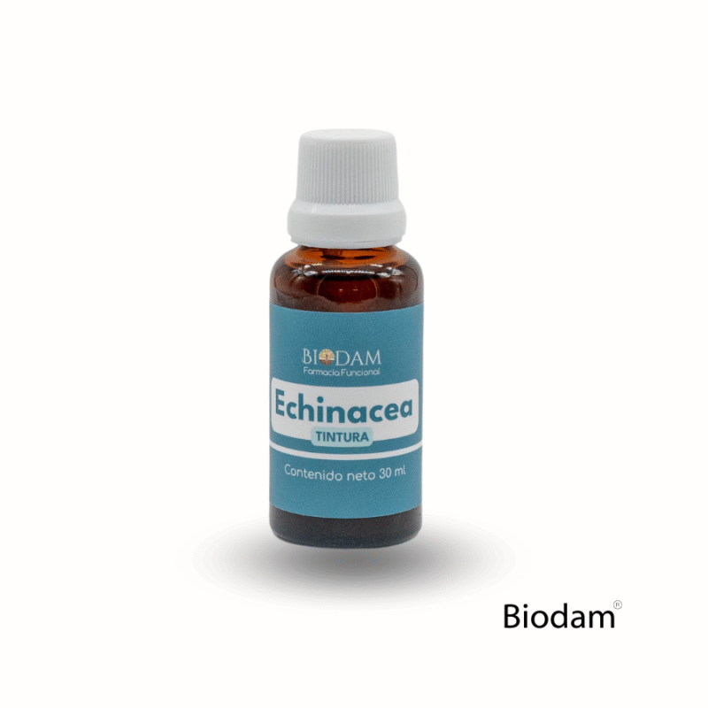 TINTURA ECHINACEA 30 ml BIODAM