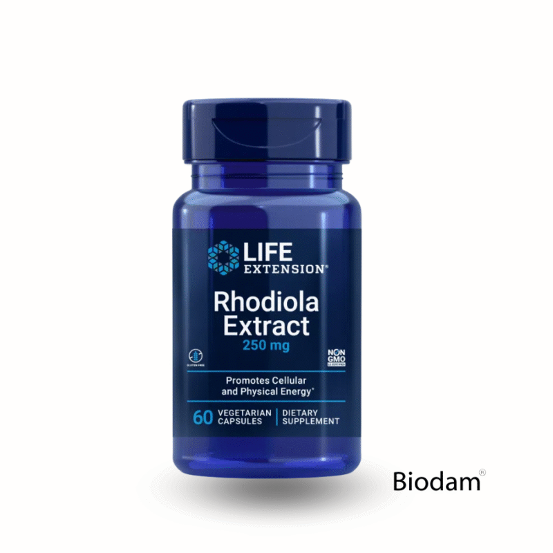 RHODIOLA 250 mg 60 caps LIFE EXTENSION